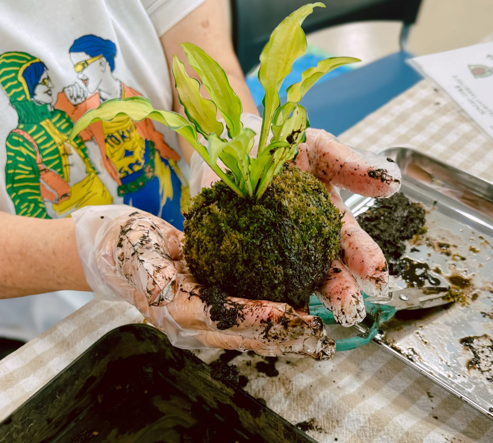 苔玉作りワークショップ